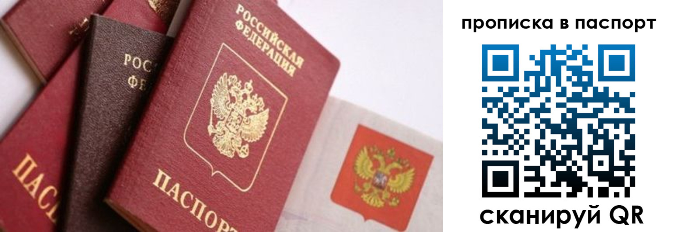 прописка штамп в Торопеце
